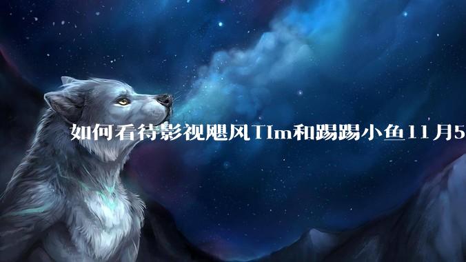 如何看待影视飓风Tim和踢踢小鱼11月5日宣布离婚？